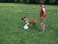 Sancho Beckham